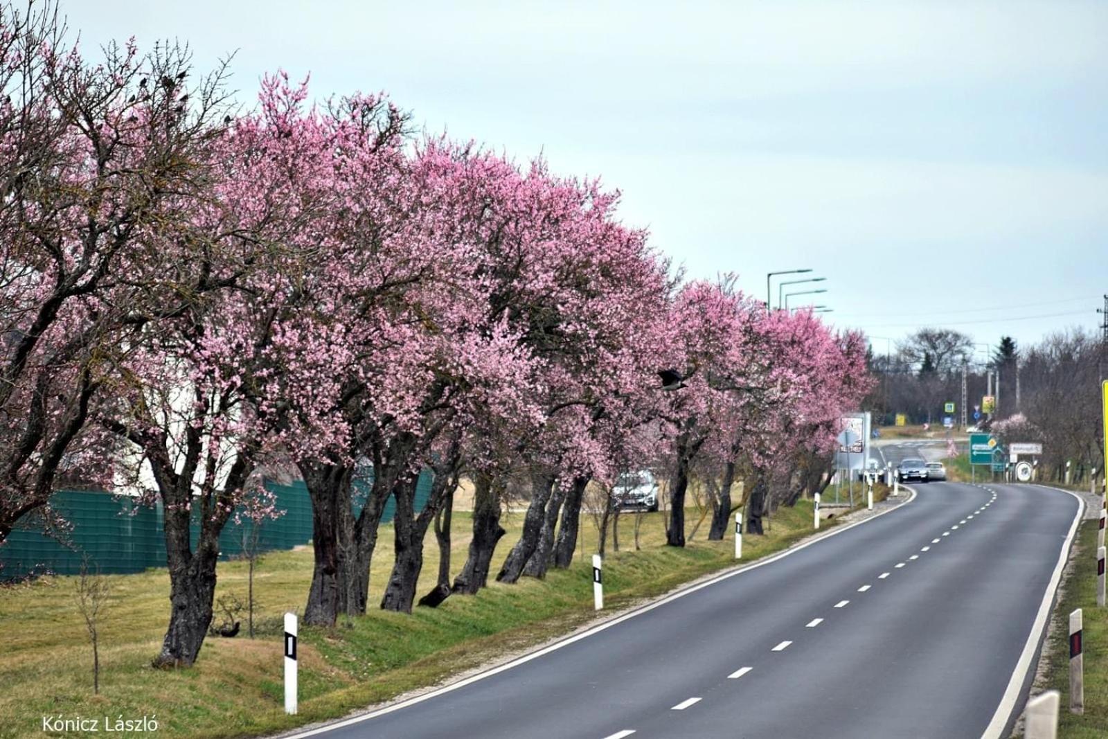 Platán Apartmanház Balatongyörök Exterior foto